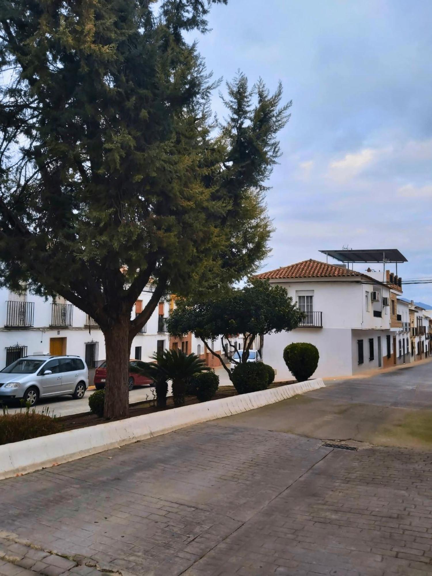 Arcadia Centro De Andalucia Villa Encinas Reales Bagian luar foto